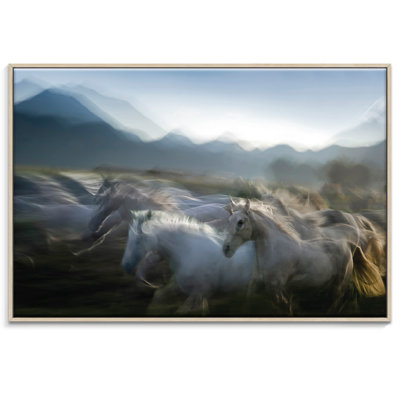 Print on Canvas