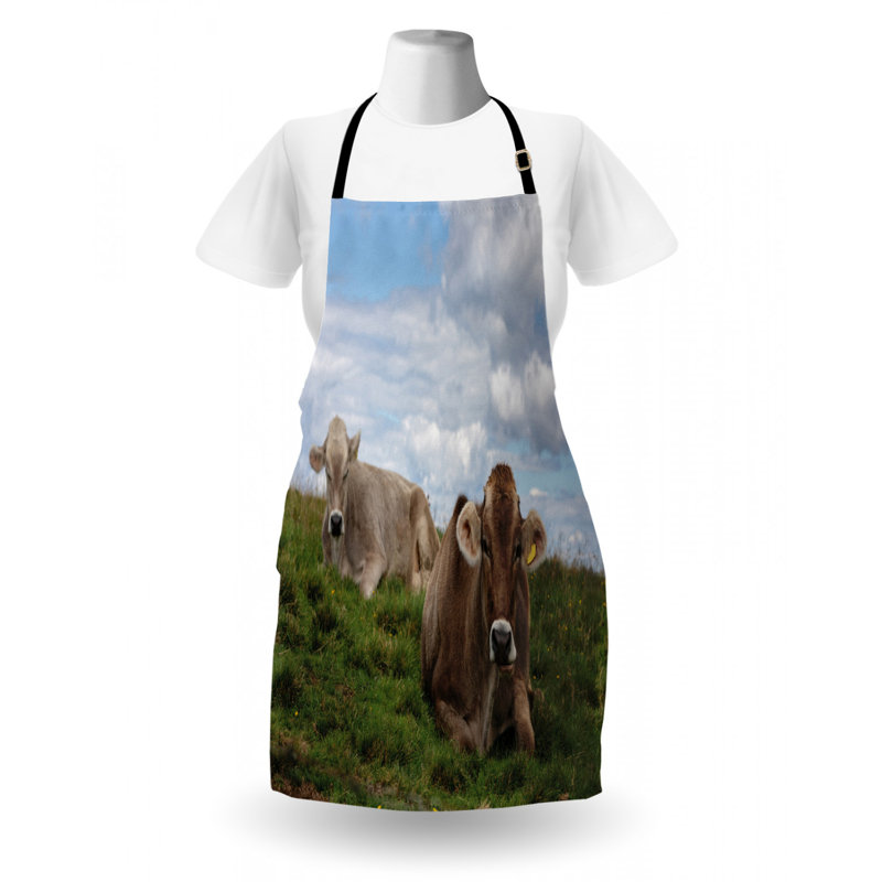 Bib Apron