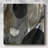 River Rock I - Wrapped Canvas Graphic Art-2116108819
