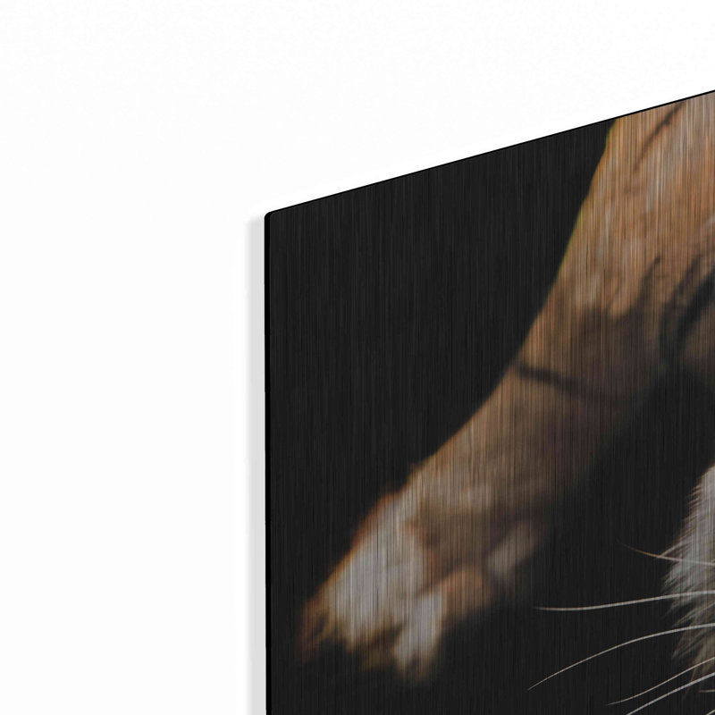 Luxe Metal Art «Nice Kitty» par Epic Portfolio Meta «Nice Kitty» par Luxe Metal Portfolio, H 24 po x l 36 po