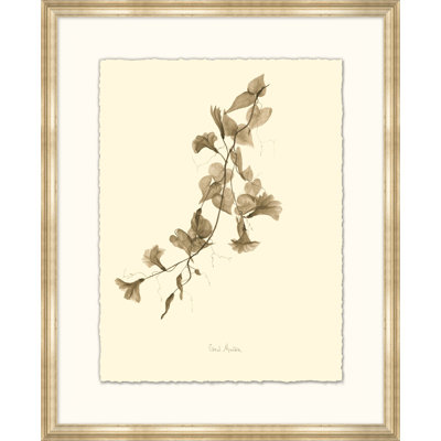" Morning Glory " Painting Print