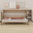 Murphy Bed With Bookshelf-638122439-661436193