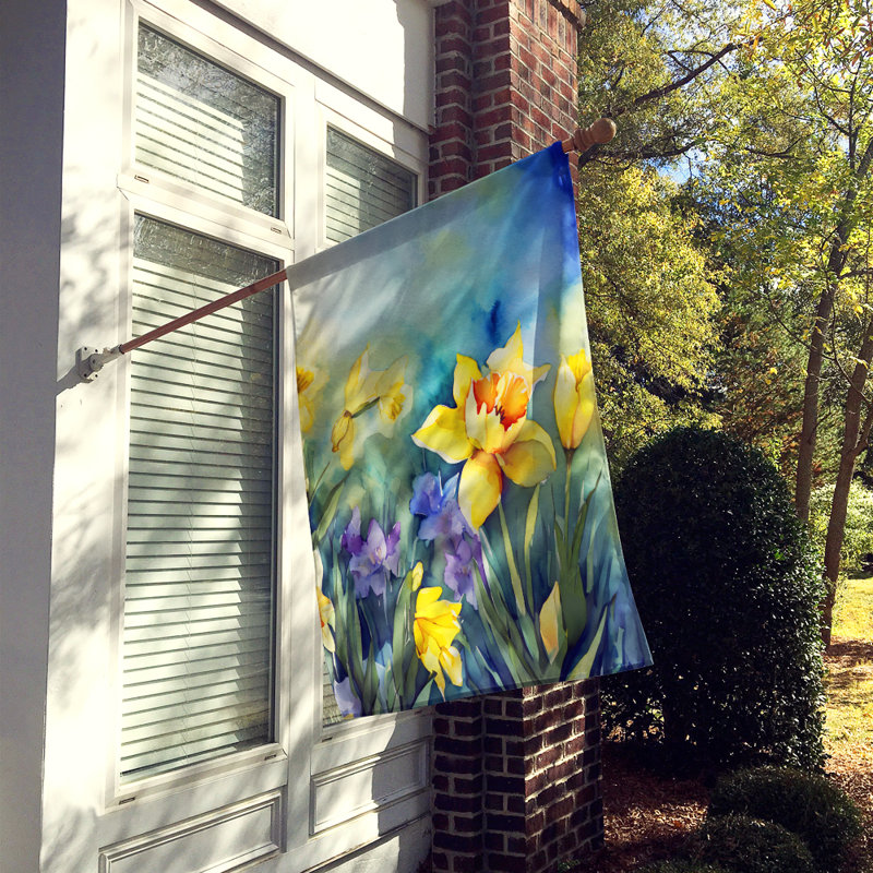 Jonquilles dans un drapeau de maison aquarelle