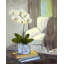 Plants & Flowers Print