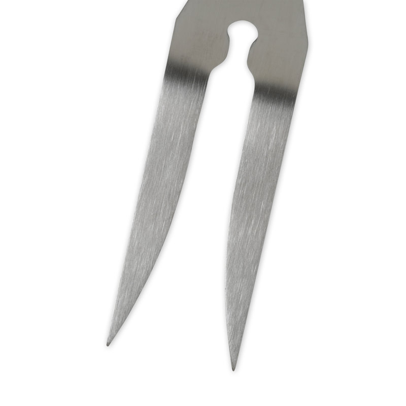 Fourchette de barbecue
