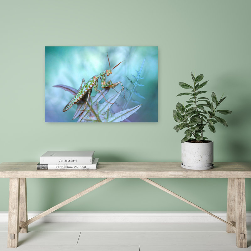 Look At Me Abstract Contemporary Wall Art Print by Jimmy Hoffman - Print, 40.64cm H x 60.96cm W