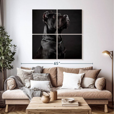 Brampt Dignified Cane Corso Dog