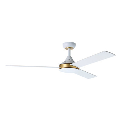 Ventilateur de plafond blanc Wodina
