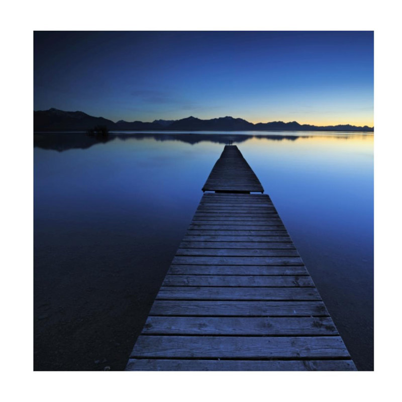Early Riser Print by Sofia Fox, Glass Coat, 54" H x 54" W x 1.5" D