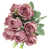 Mauve cendré