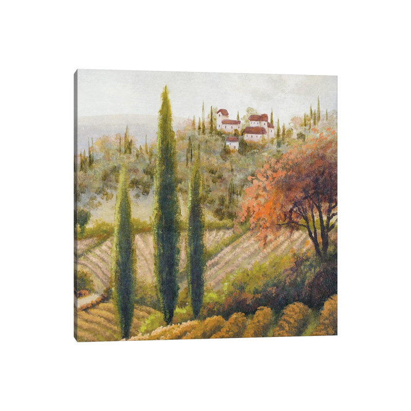 Tuscany Vineyard II by Michael Marcon - Wrapped Canvas Painting, 30.48 cm H x 30.48 cm W