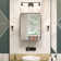 Gervon Rectangle Recessed or Surface Medicine Cabinet with Shelves and Mirror