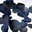 « enigmatic i », reproduction d’art sur toile-20896724