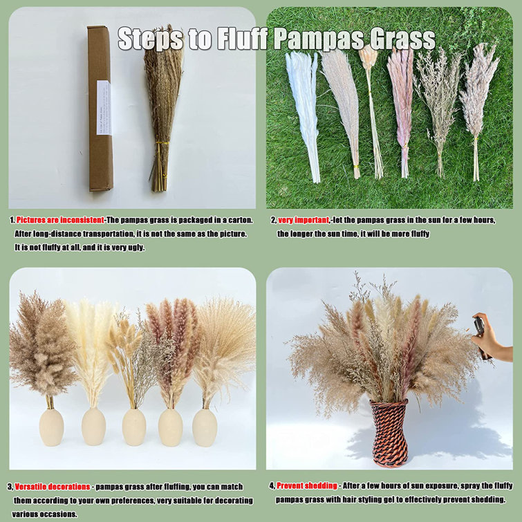 Primrue 17'' Faux Pampas Grass Grass