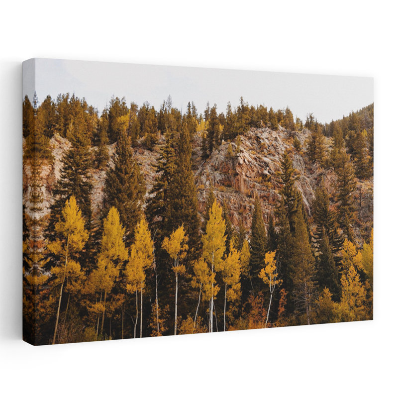 Guanella Pass Aspens, H 40 po x l 60 po