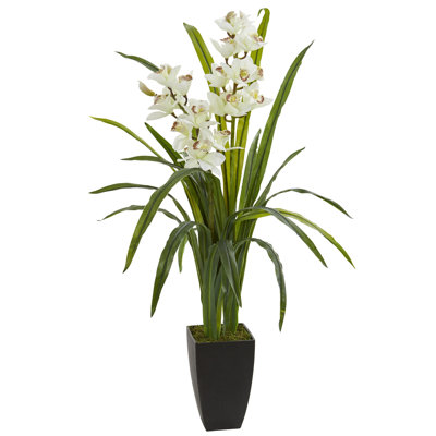 Orchid Arrangement in Planter