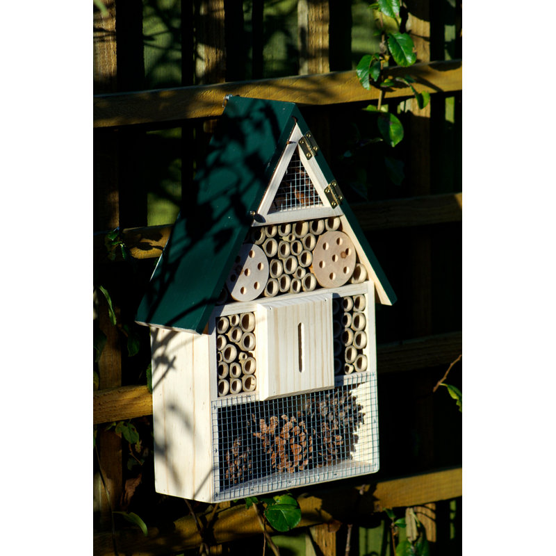 Odder Mounted Bumblebee House