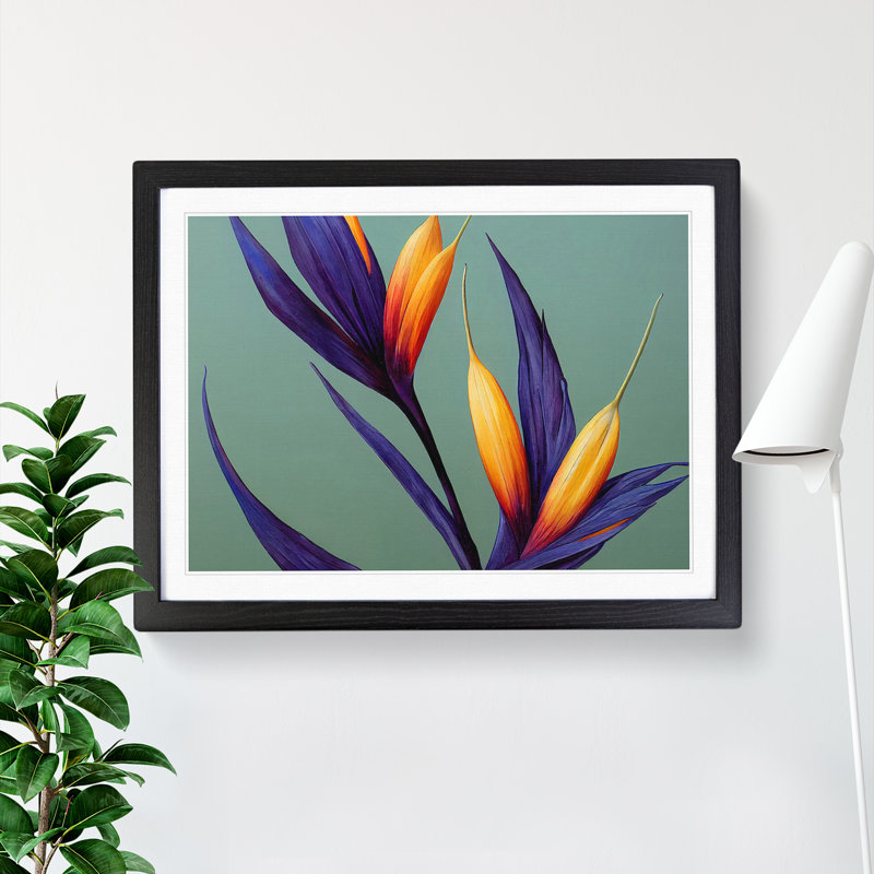 The Bird of Paradise Flower Vol.5 - Framed Print, 34cm H x 46cm W x 2cm D, Black
