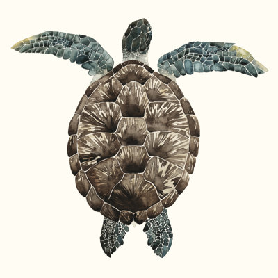 Tortue mosaïque I