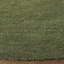 Racheal Area Rug-576036302