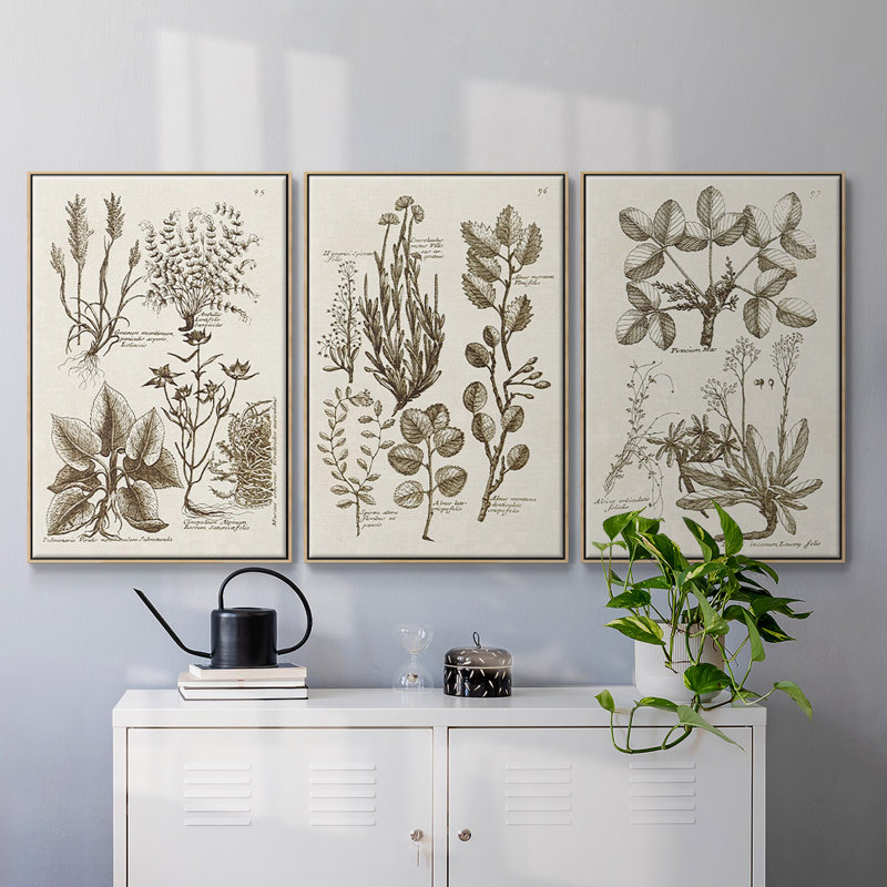 «Sepia Botanical Journal VI», ensemble de 3 pièces encadrées sur toile, H 40 po x l 78 po, Naturel