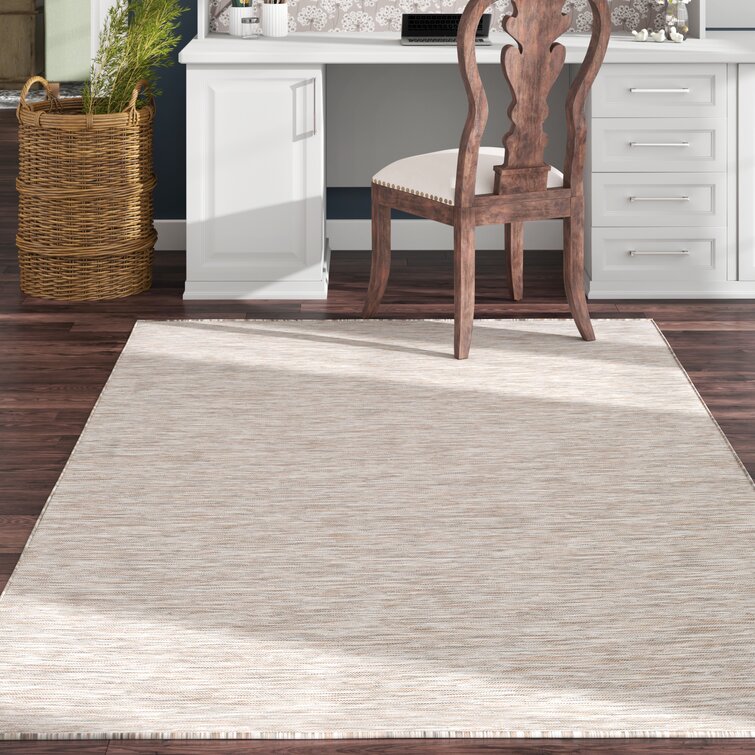 https://assets.wfcdn.com/im/68634632/resize-h755-w755%5Ecompr-r85/1025/102542593/Barbaros+Indoor%2FOutdoor+Rug.jpg