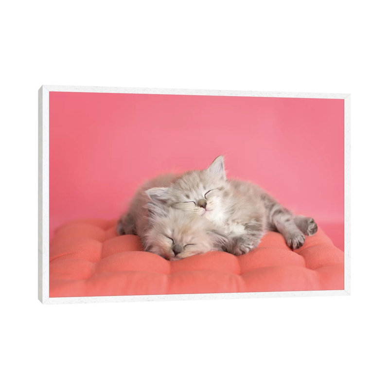 Chloe And Zoe by Rachael Hale - Print on Canvas, White Framed, 101.6 cm H x 66.04 cm W