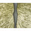 Décoration murale boîte-cadre dual Wings