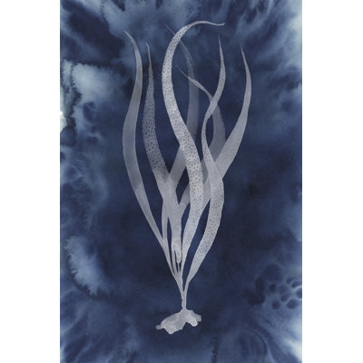 Midnight Kelp I - Wrapped Canvas Painting