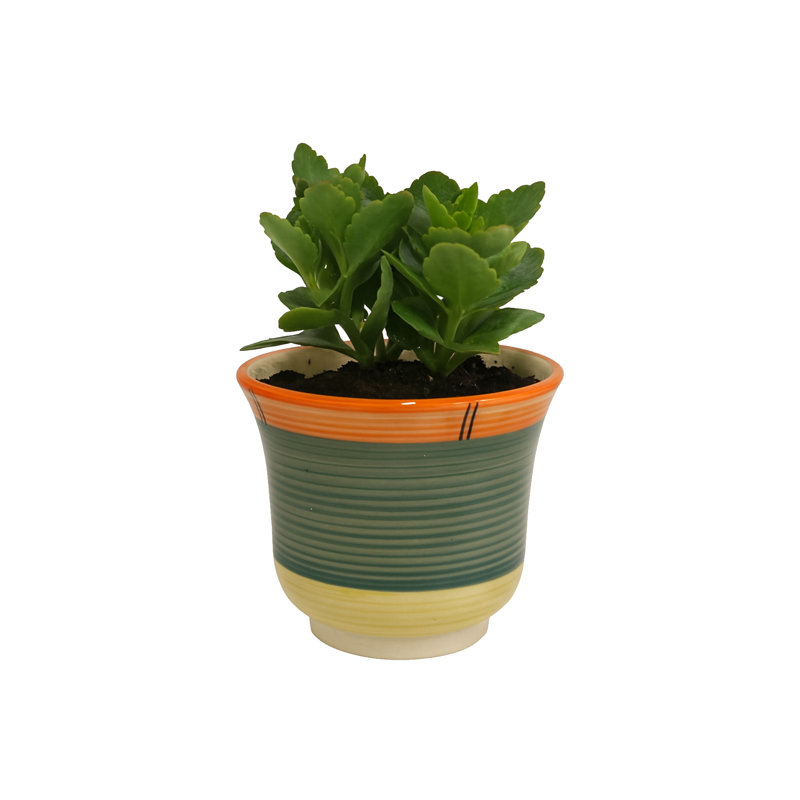 Home&Manor Ceramic Planter With Drain Hole