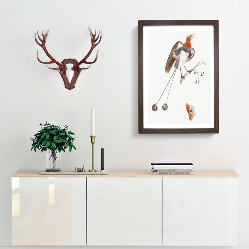 Bird Of Paradise And Butterfly by Johan Teyler - Single Picture Frame Painting, Walnut Framed, 45cm H x 33cm W x 2cm D