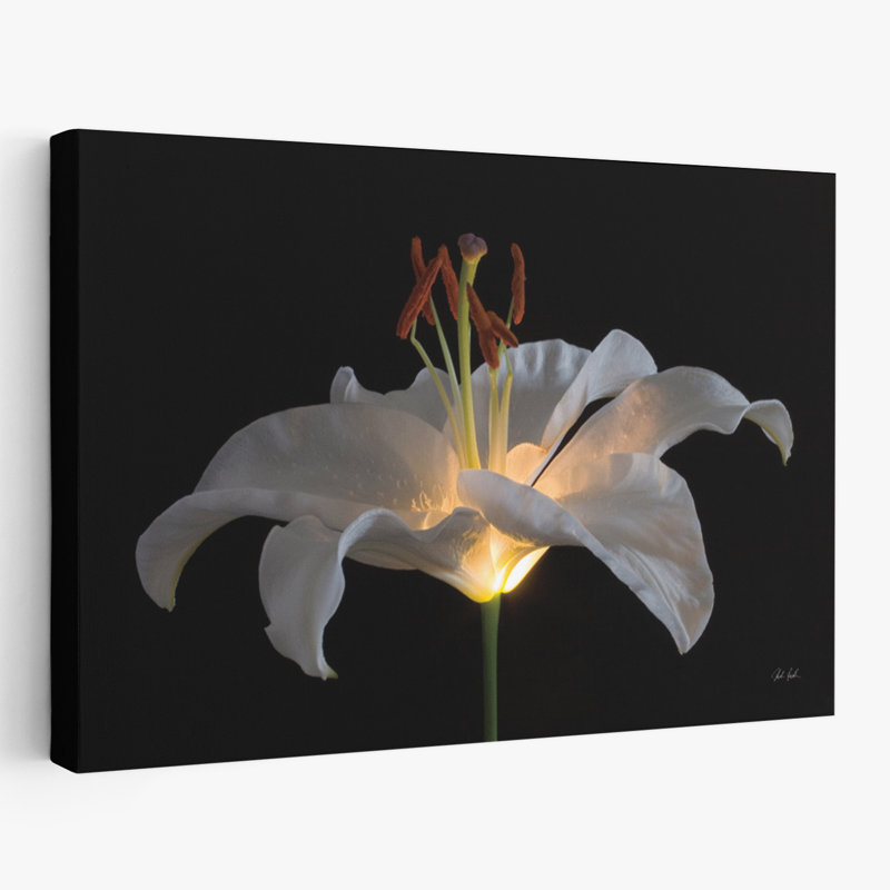 Fleurs florales - lis clair, H 16 po x l 24 po