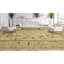 Wool Oriental Area Rug in Cream-576394412