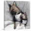 Parvez Taj - Wrapped Canvas Painting-37946163