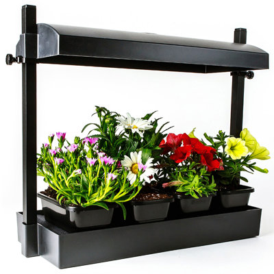 Sunblaster SL1600198 Micro jardin T5HO T5HO pour le démarrage des graines, noir
