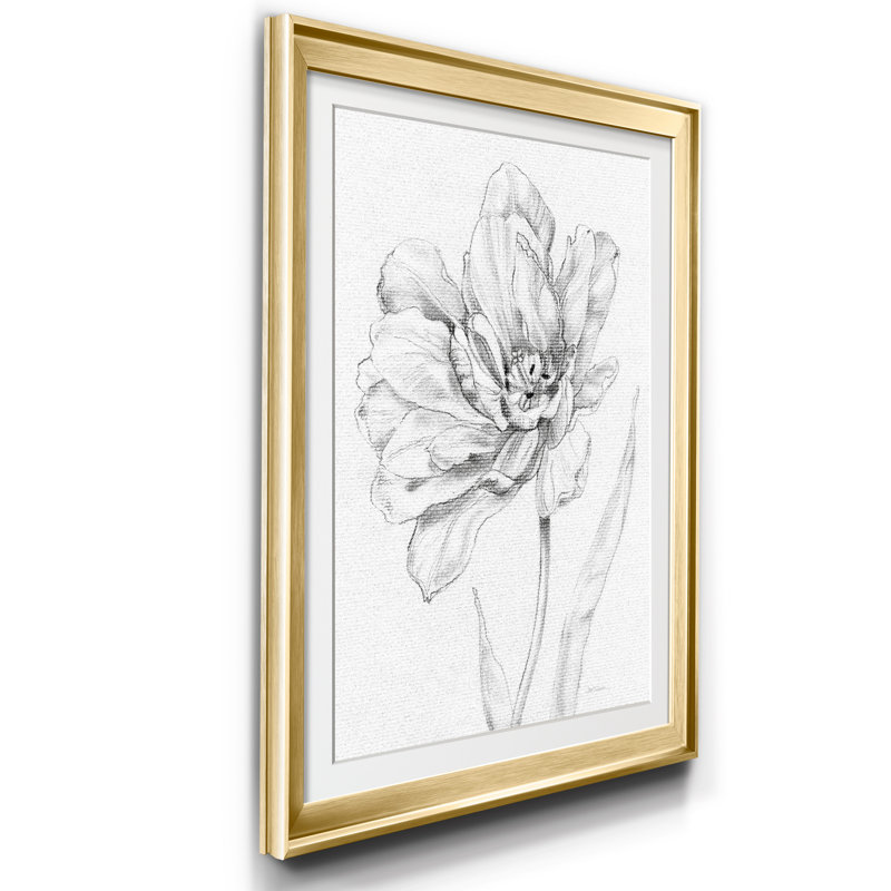 Croquis de tulipes - cadre photo, impression sur papier, H 26,5 po x l 36,5 po x P 1,5 po, Doré