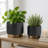 Pautah Textured Ceramic Planters for Outdoor and Indoor Spaces - Modern Flower Pots for Home, Living Room, or Patio Decor - Set of 2, 7", 5"-1100638432