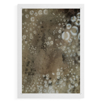 Inky Safari II -Canvas Print Only - NOT FRAMED