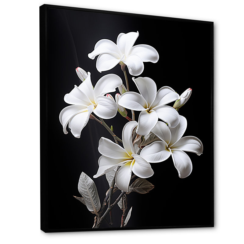 Parfumée Plumeria Serenade I, H 20 po x l 12 po x P 1 po, Cadre flottant noir
