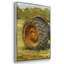 Rustic Tractors III 3 pièces-629553170-629553173
