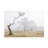 Bolog Walter Lackner Protecting Canvas Art-105650427