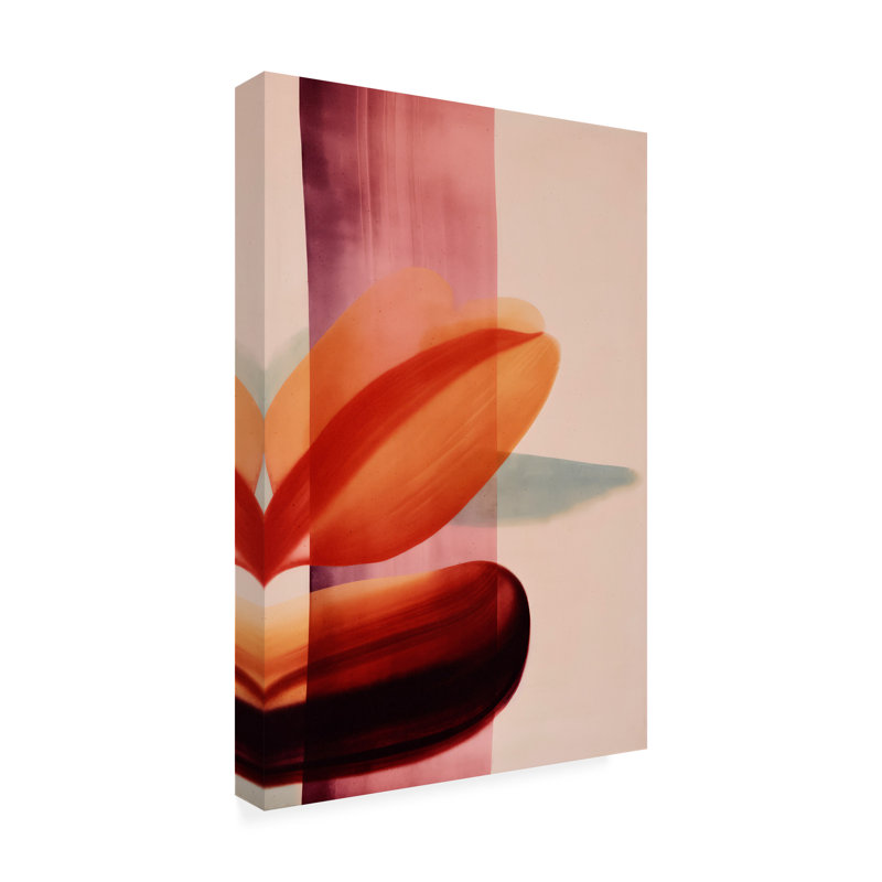 Art sur toile "Bolologic Impressions No 4", H 19 po x l 12 po
