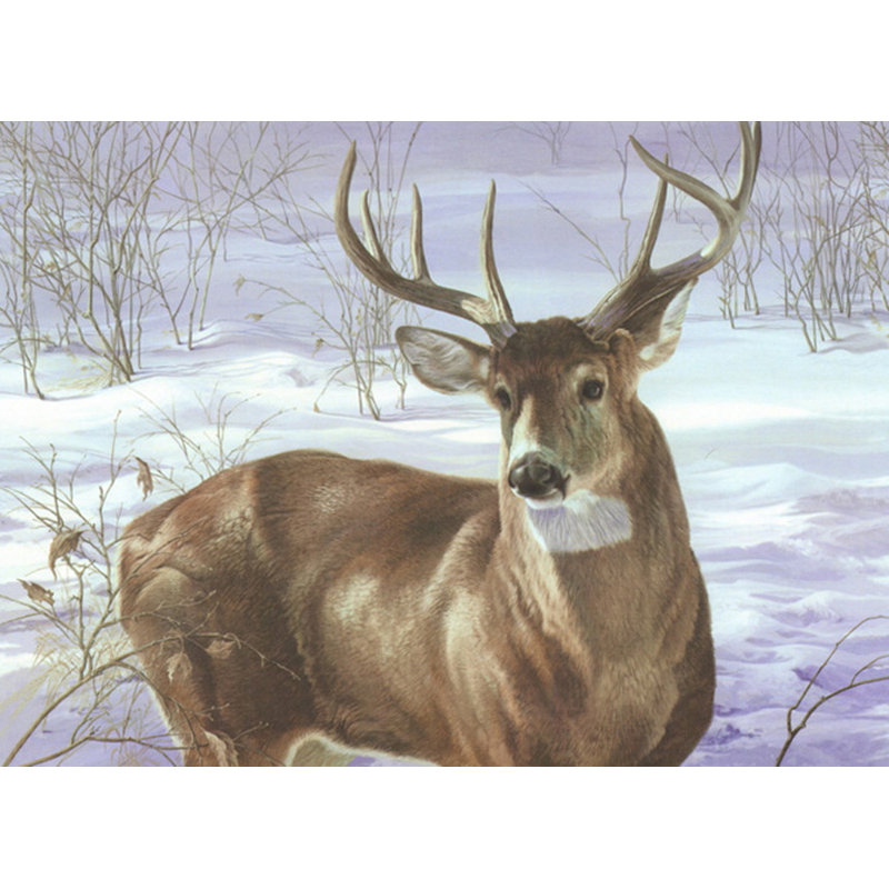 Par ma fenêtre - Cerf de Virginie, H 13 po x l 18 po