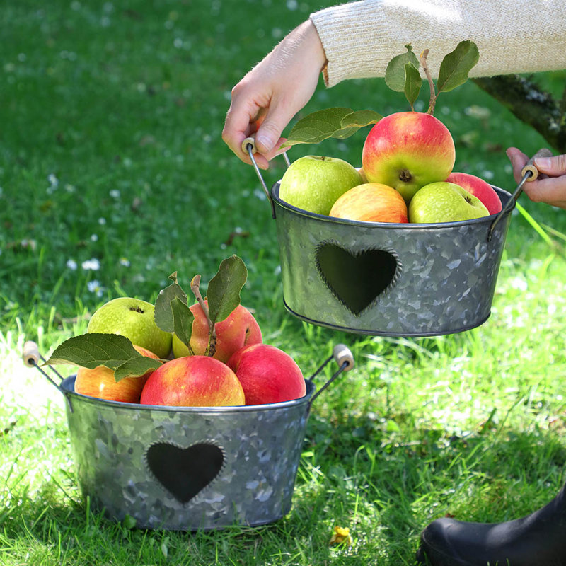 August Grove Decorative Bin