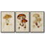 Ensemble de 3 pièces champignon V Variétés encadrées sur toile-97708995-97708998