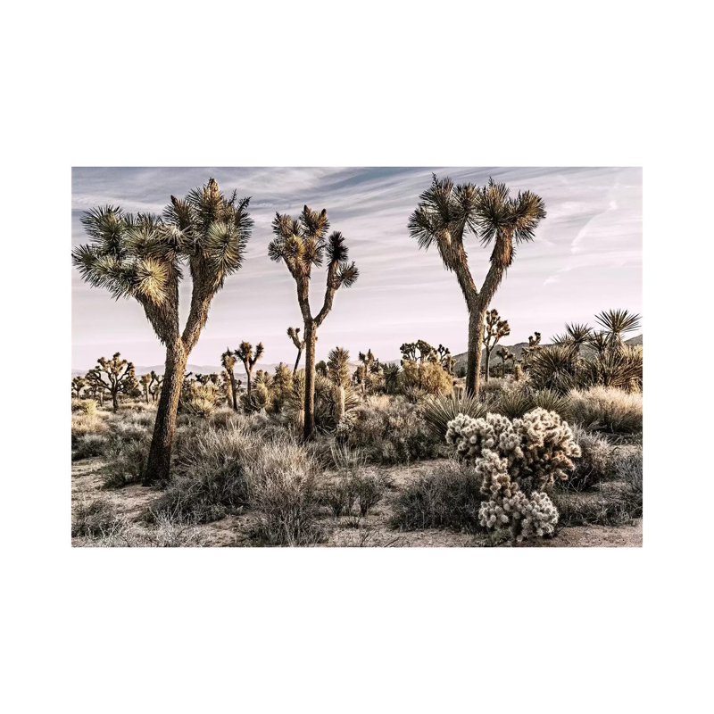 Joshua Tree Views IX by Rachel Perry - Gallery-Wrapped Canvas Giclée on Canvas, Wrapped Canvas, 20.32 cm H x 30.48 cm W