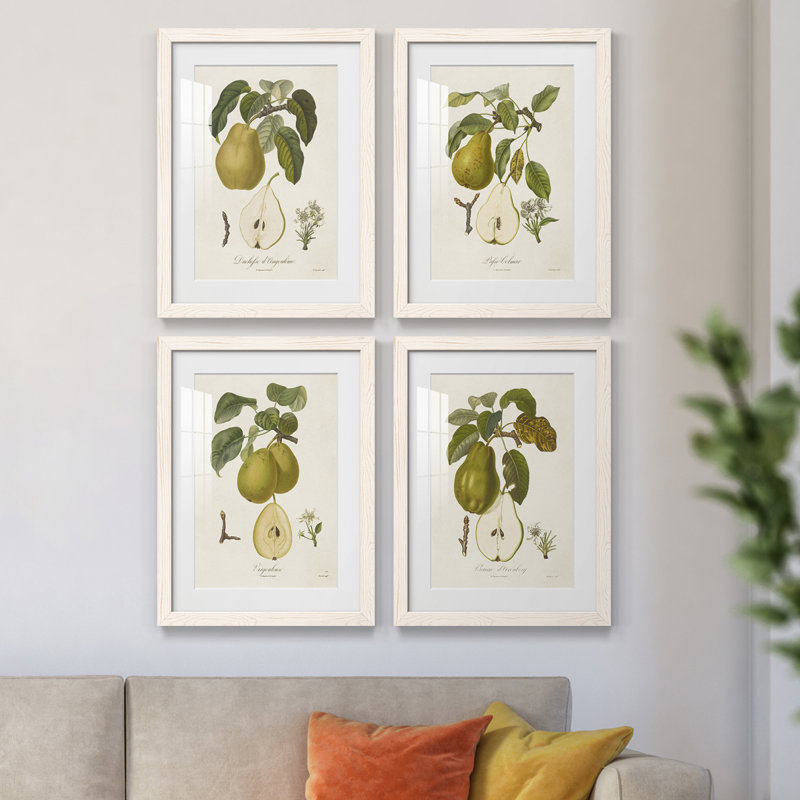Vintage Pears I - ensemble de 4 reproductions de cadres photo, Blanc, H 24 po x l 72 po x P 1,5 po