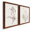 «Neutral Botanical Study VIIP», reproduction d'art encadrée - prête à être accrochée-558944160-559107761-558944174