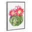 « cactus fleuri iii » par grace-pop, reproduction d’art-49904737-53128419