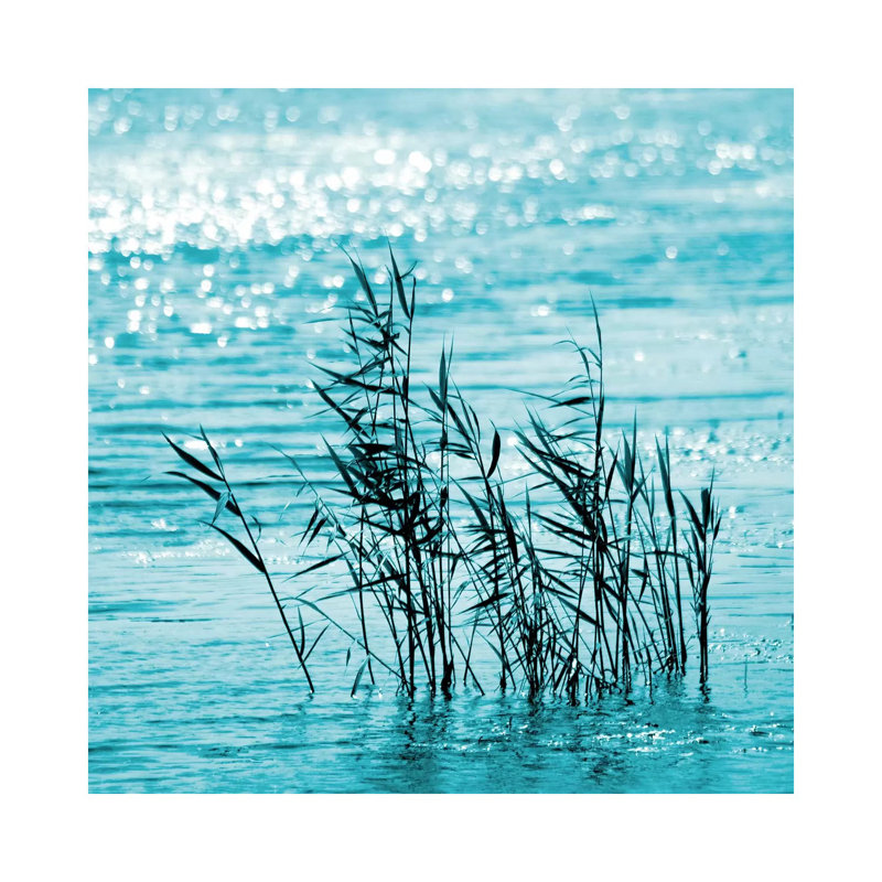 Cool Water - Wrapped Canvas Print, 30.48 cm H x 30.48 cm W